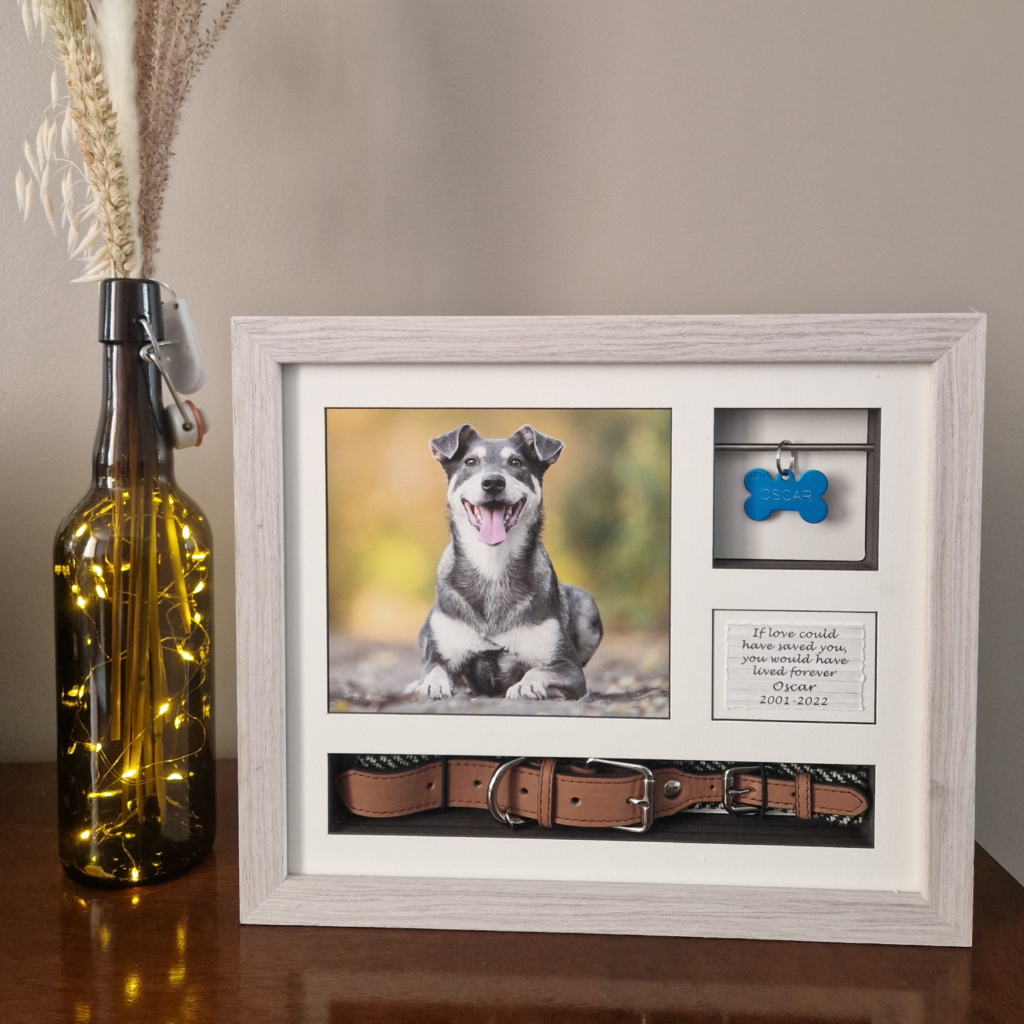 a memorial or ashes frame can help you deal with pet loss 