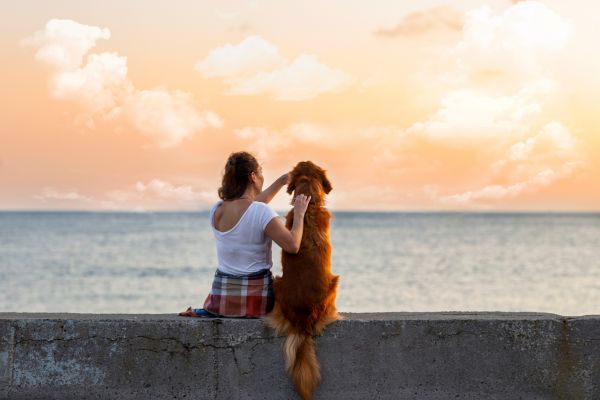 Five Ideas For Making Your Dog’s Last Days Some Of Their Best